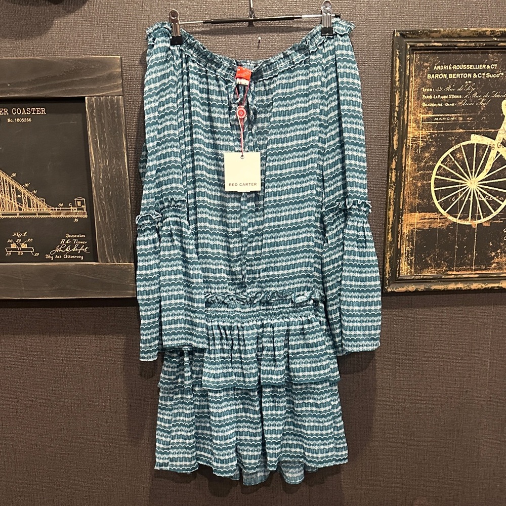 Red Carter Blue Patterned Long Sleeve Dress